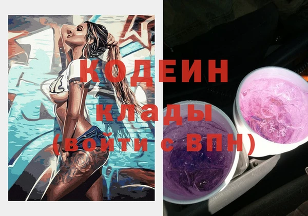 шишки Киренск