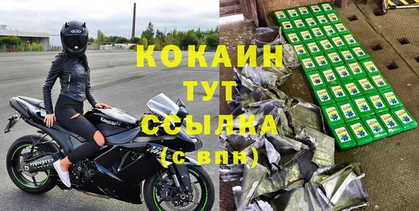шишки Киренск