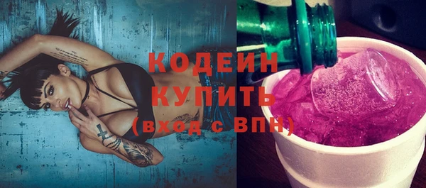 шишки Киренск